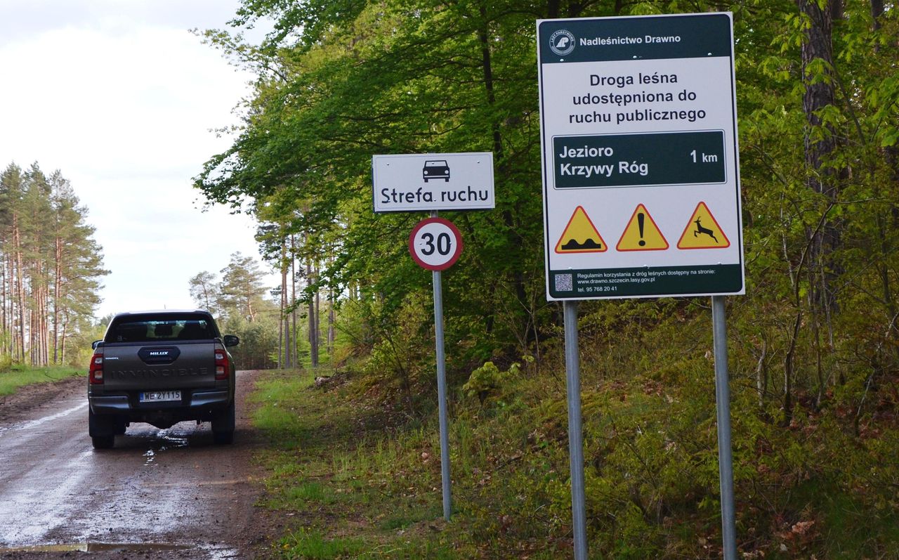Znak i tablica, które jednoznacznie pozwalają na dalszą jazdę leśną drogą