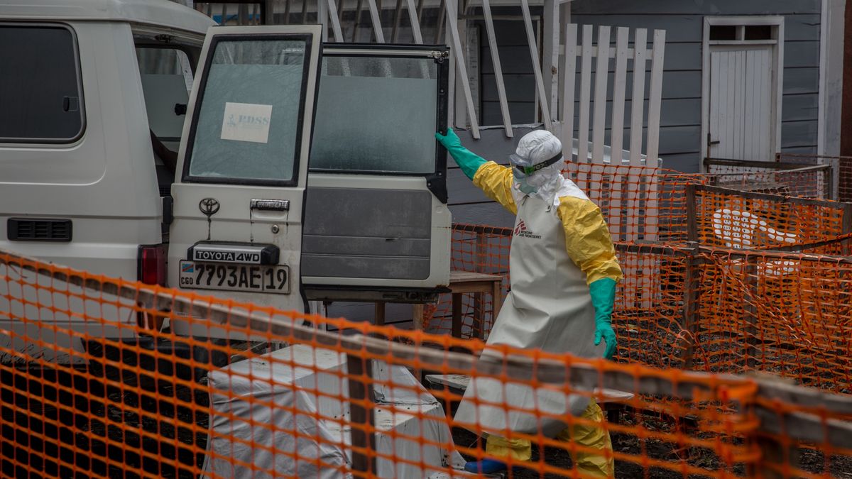 Naukowcy obawiają się nowej pandemii. Twierdzą, że za namnażanie wirusów odpowiada niszczenie środowiska 