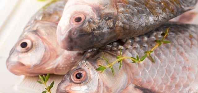 Jak wybrać najlepszą rybę? Kilka oznak, że mięso jest świeże