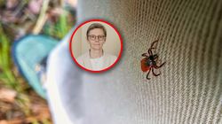 Prawdziwy wysyp kleszczy. "Ich ilość zmienia się w zależności od pogody"