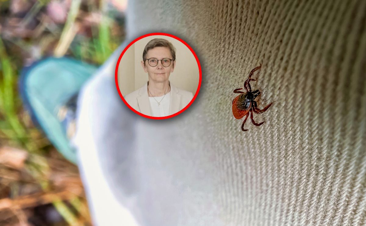 Prawdziwy wysyp kleszczy. "Ich ilość zmienia się w zależności od pogody"