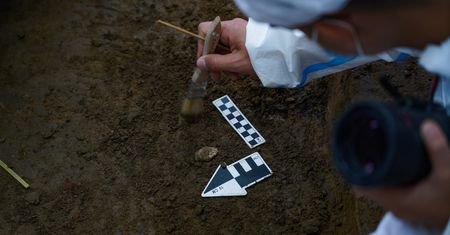 Polacy mają narzędzie do wykrywania skarbów. Pomoże im sztuczna inteligencja
