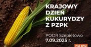 Kukurydza ziarnem przyszłości. PODR Szepietowo zaprasza na Krajowy Dzień Kukurydzy
