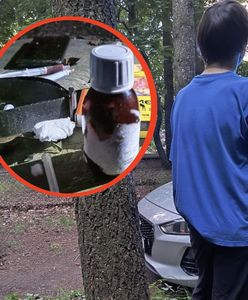 Zatrzymali go przy zoo. Chował się przy wybiegu dla niedźwiedzi