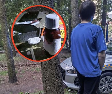 Zatrzymali go przy zoo. Chował się przy wybiegu dla niedźwiedzi