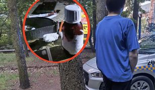 Zatrzymali go przy zoo. Chował się przy wybiegu dla niedźwiedzi