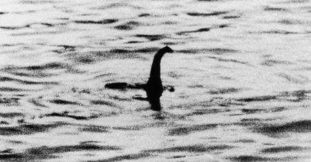 Kobieta rozwiązała zagadkę Loch Ness. Na dowód pokazała zdjęcie