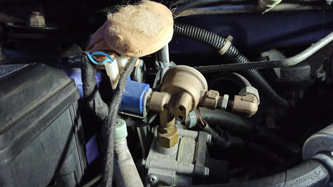 Woreczek z sierścią psa może być nad wyraz skuteczny. Ma jednak i swoje wady.