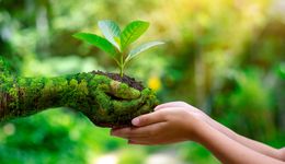 Światowy Dzień Środowiska: Ponad pół wieku troski o naszą planetę