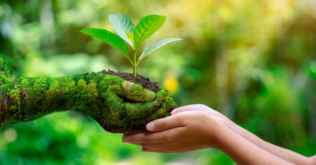 Światowy Dzień Środowiska: Ponad pół wieku troski o naszą planetę