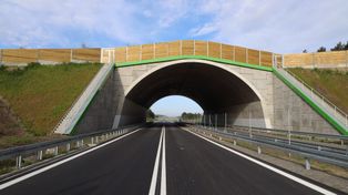 S11 bliżej budowy. Jest decyzja środowiskowa dla obwodnicy