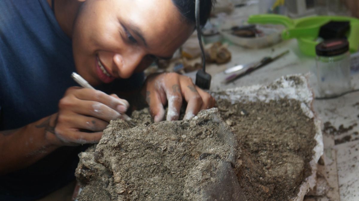 Odkryto skamieniałość delfina rzecznego