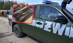 Dokumenty wojskowe na prywatnej działce. Służby nie reagowały