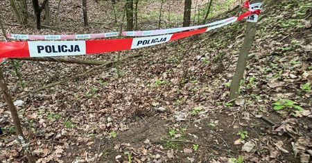 Znalazł to podczas spaceru w lesie. Natychmiast wezwał służby