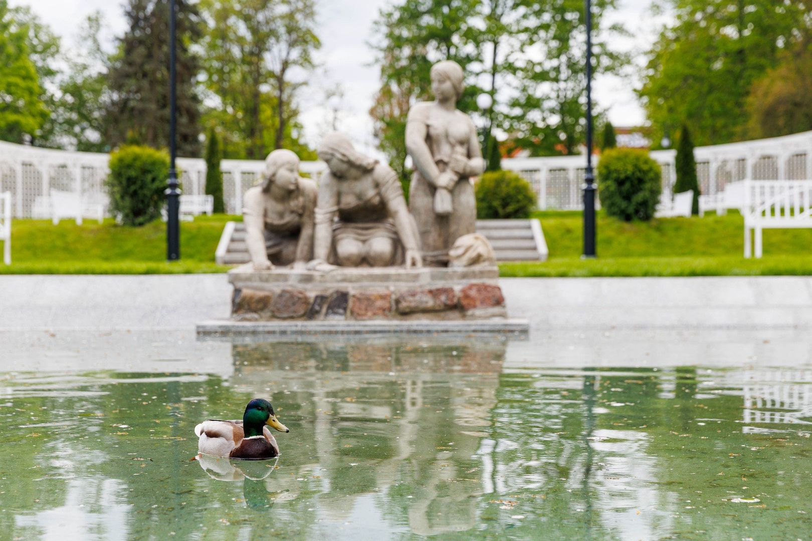 Białostocka Różanka