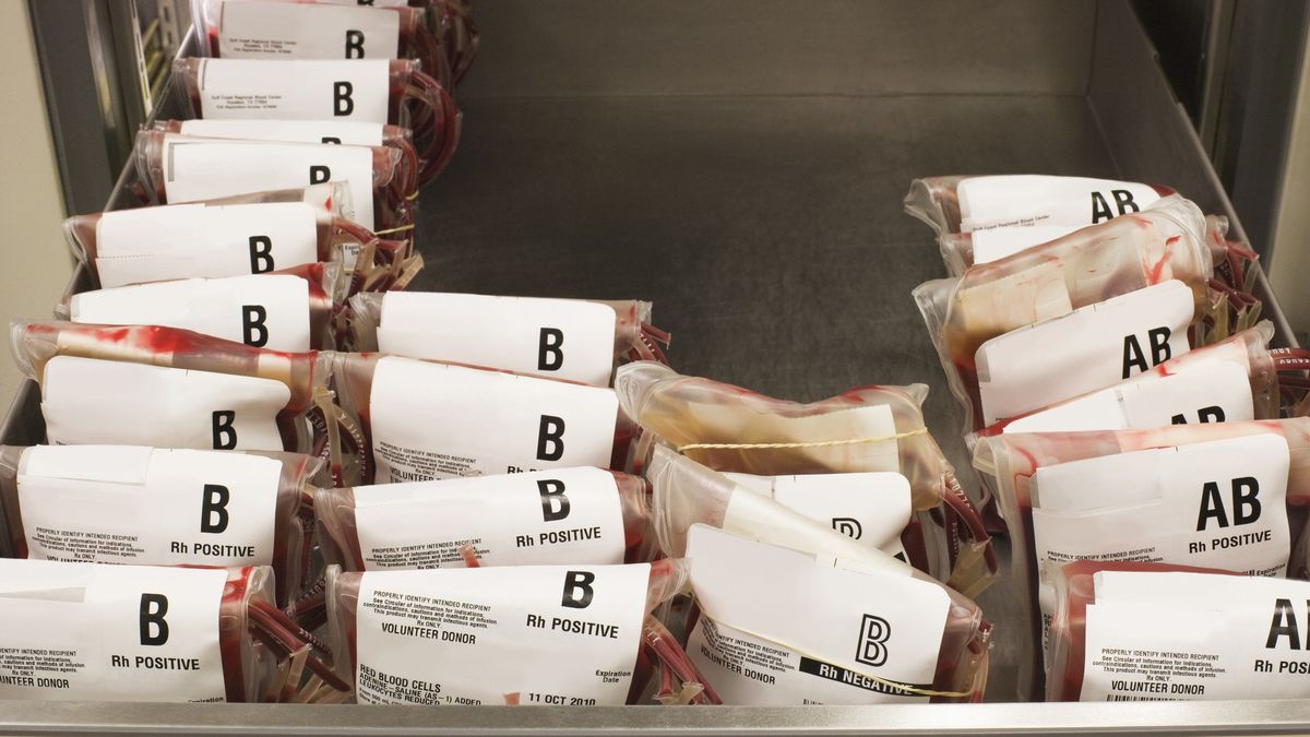 Wiele osób kojarzy grupy krwi z układem AB0 oraz czynnikiem Rh