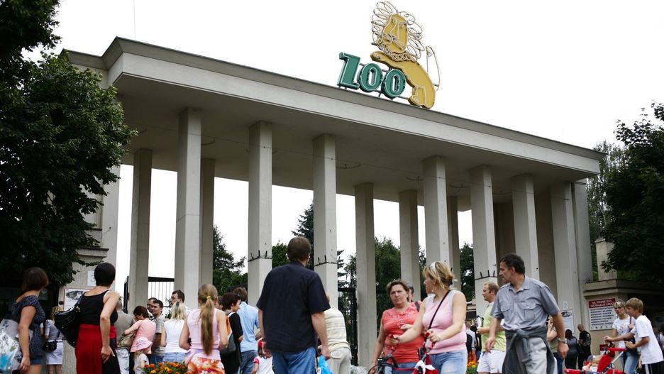 Najpierw bilety na MPK Wrocław teraz do zoo. Miasto ostrzega przed oszustami
