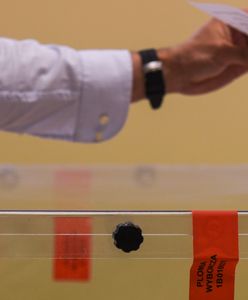 Wybory samorządowe 2024. Prezydent miasta. Kim jest? Kto może kandydować na to stanowisko?