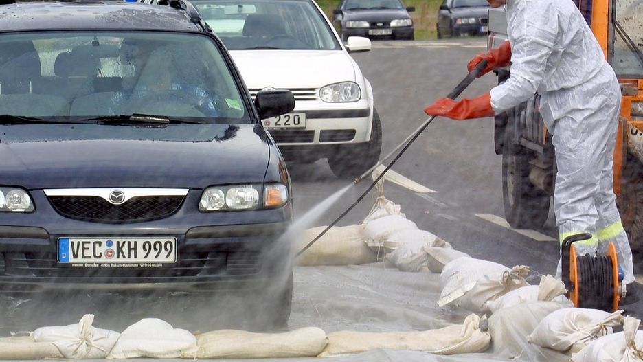W niemieckiej Brandenburgii z powodu wystąpienia pryszcycy wśród