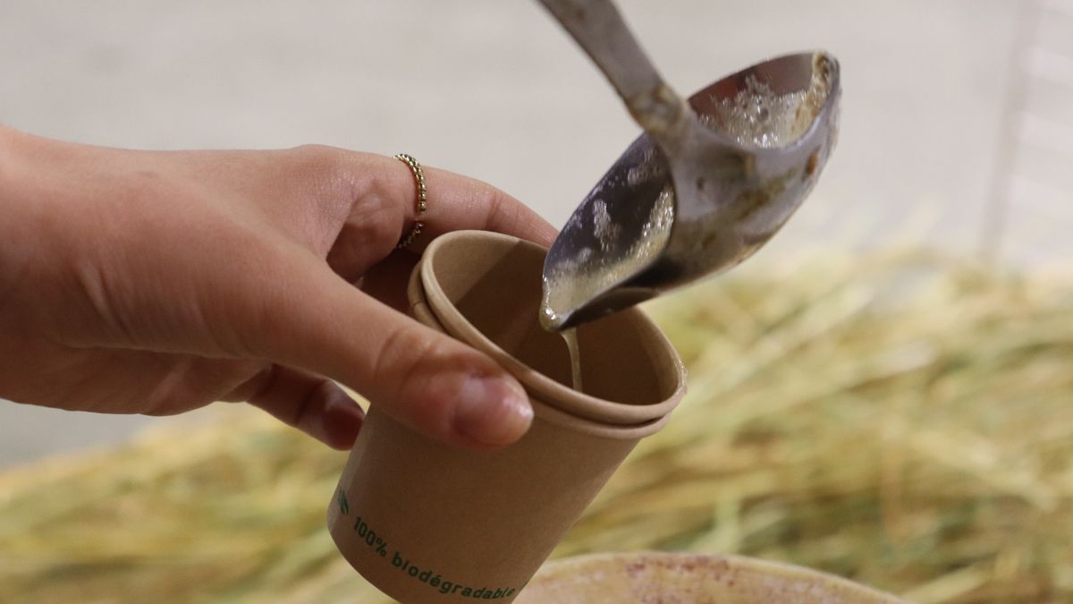 Jakie właściwości ma syrop z pokrzywy?