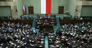 Najnowszy sondaż. PiS wyprzedza KO, jest wzrost dla partii Brauna