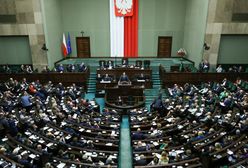 Najnowszy sondaż. PiS wyprzedza KO, jest wzrost dla partii Brauna