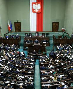Najnowszy sondaż. PiS wyprzedza KO, jest wzrost dla partii Brauna