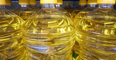 Producenci oleju alarmują. Sytuacja "niezwykle trudna"