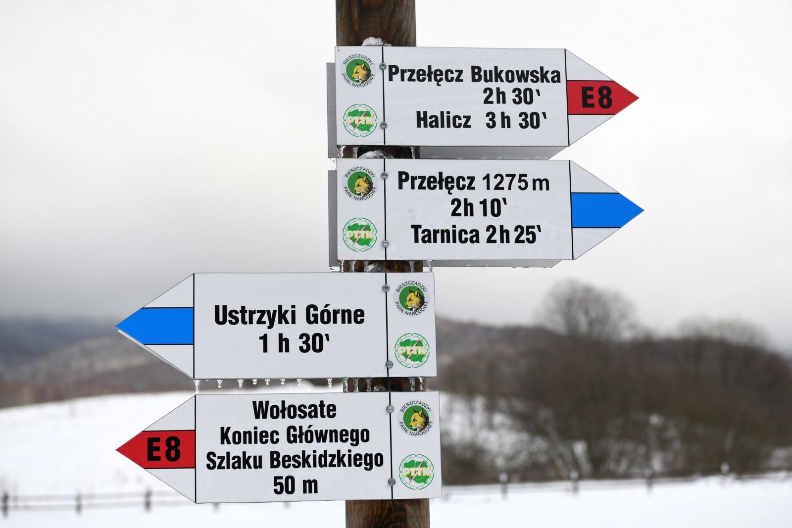 Bieszczady. Bardzo niebezpiecznie w górach, szlaki zamknięte