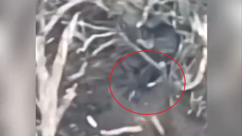 Rosyjski żołnierz rzuca uszkodzonym ukraińskim improwizowanym dronem "kamikadze".
