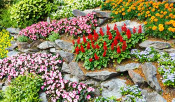 Ogród skalny. Powrót hitu. Tak samodzielnie stworzysz górski krajobraz