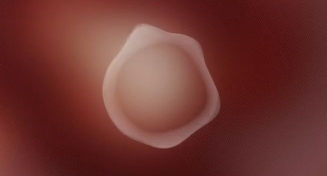 Neutralny płciowo asystent głosowy od Vice Media i Virtue