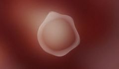 Neutralny płciowo asystent głosowy od Vice Media i Virtue