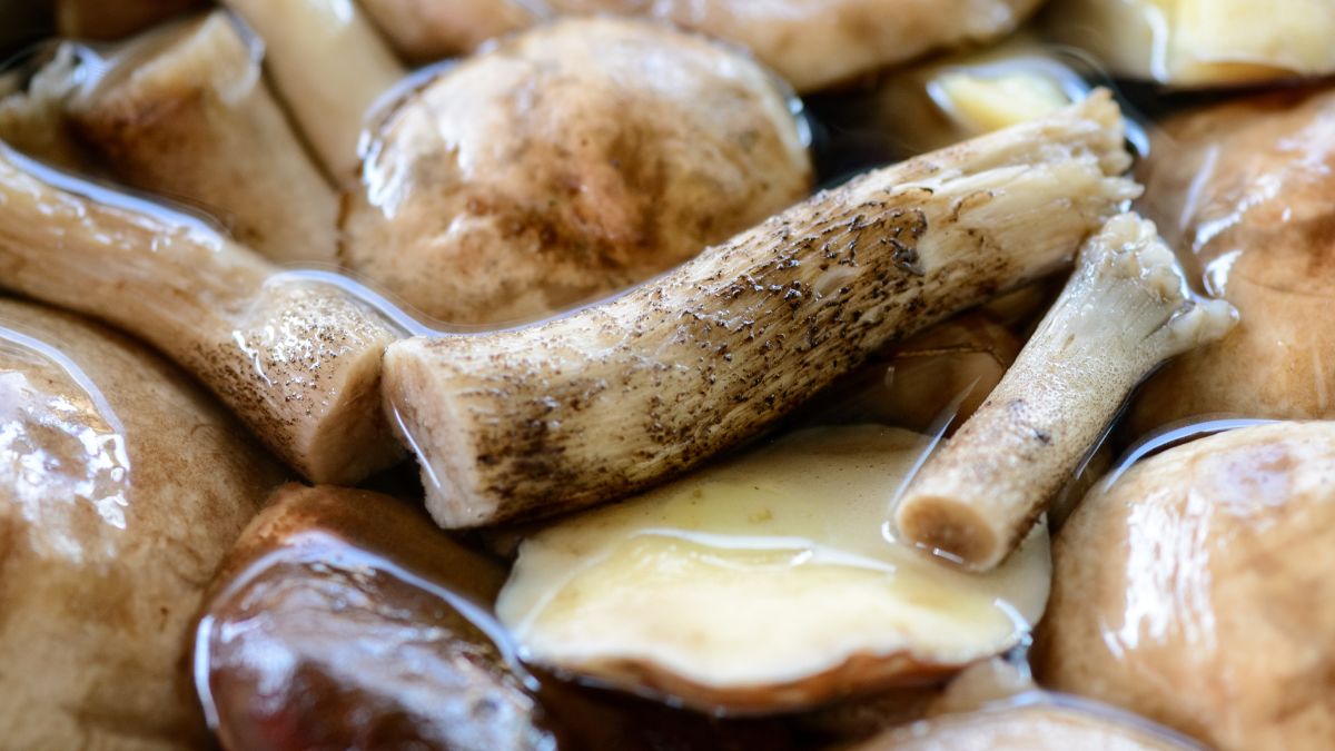 Tak pozbędziesz się robaków z grzybów