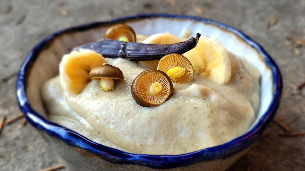 Budyń grzybowo-jaglany