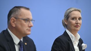 Atak hakerski na AfD. Do internetu trafiły setki tysięcy wiadomości