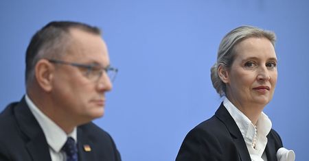 Atak hakerski na AfD. Do internetu trafiły setki tysięcy wiadomości