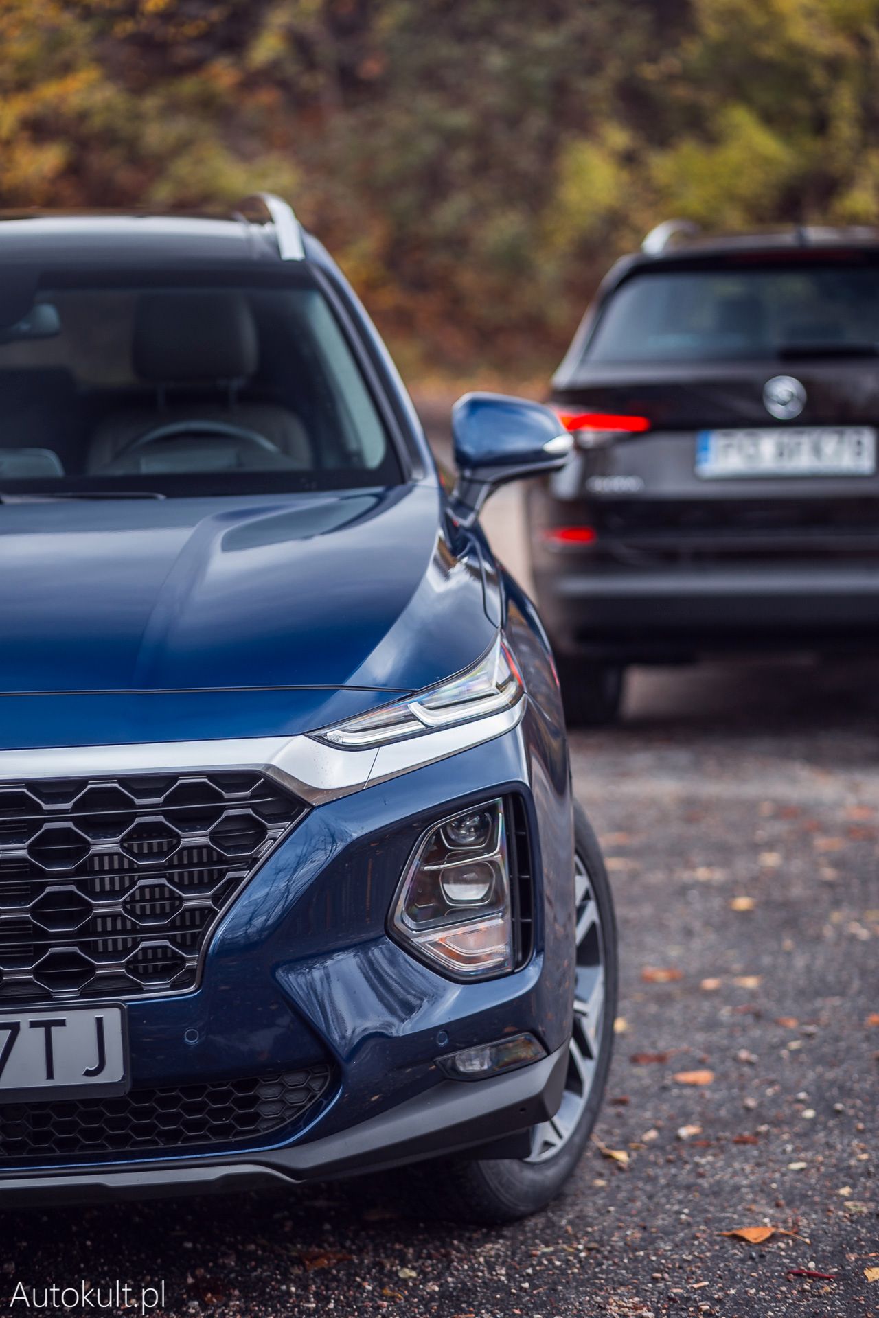 Hyundai Santa Fe 2.0 CRDi Platinum (2019) (fot. Konrad Skura)
