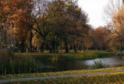 Radom. Przerażające odkrycie w Starym Ogrodzie. Rowerzysta znalazł ciało