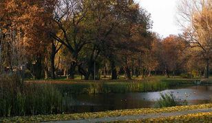 Radom. Przerażające odkrycie w Starym Ogrodzie. Rowerzysta znalazł ciało