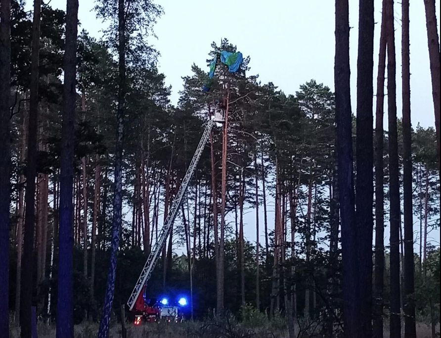 straz pożarna, skok ze spadochronu, las, wypadek Szesnastoletnia spadochroniarka zawisła na drzewie. Pomogli strażacy z drabiną