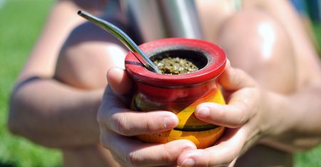Yerba mate – co to jest i jak ją przyrządzić?
