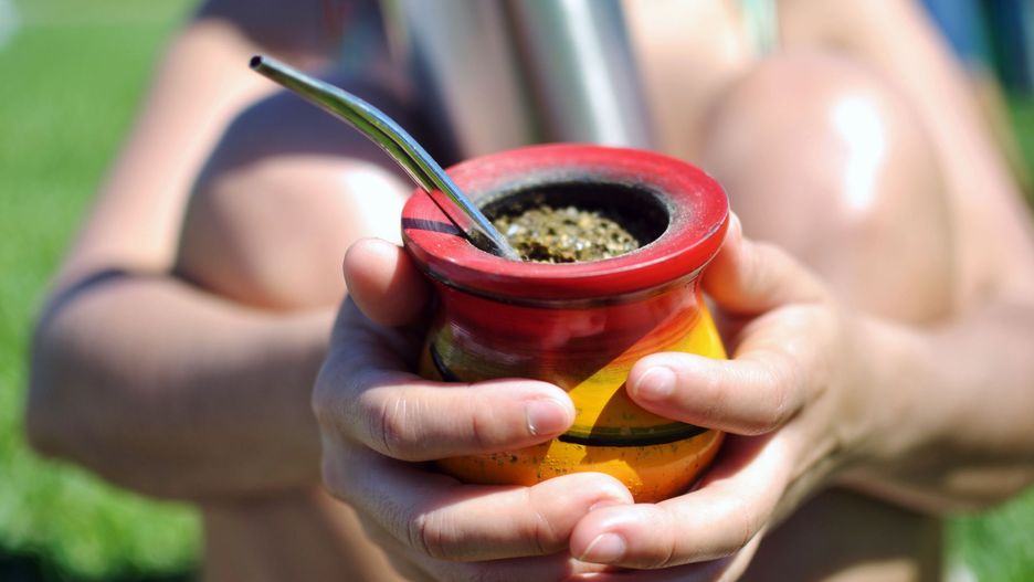 yerba mate