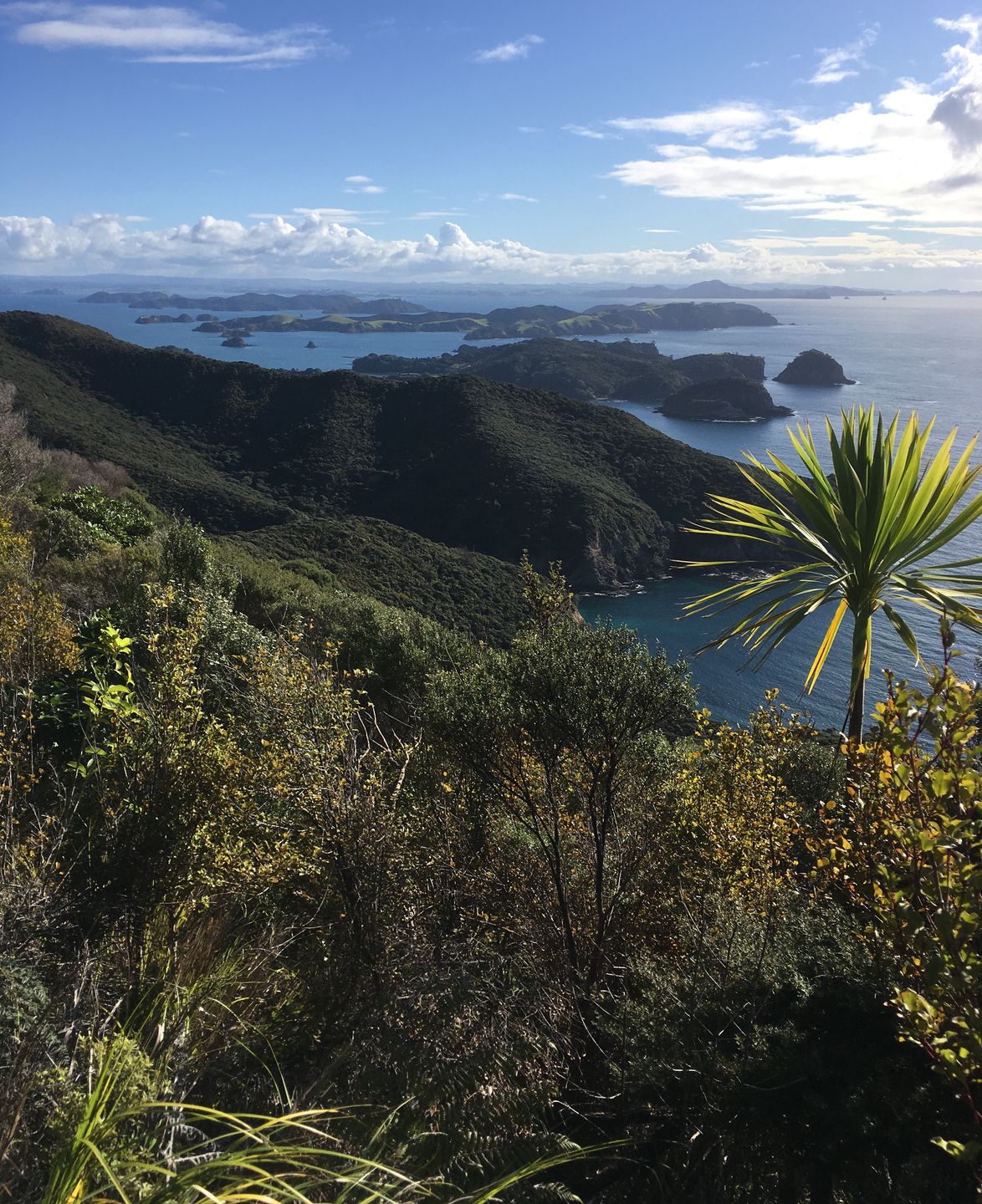 Matapouri (Northland) 