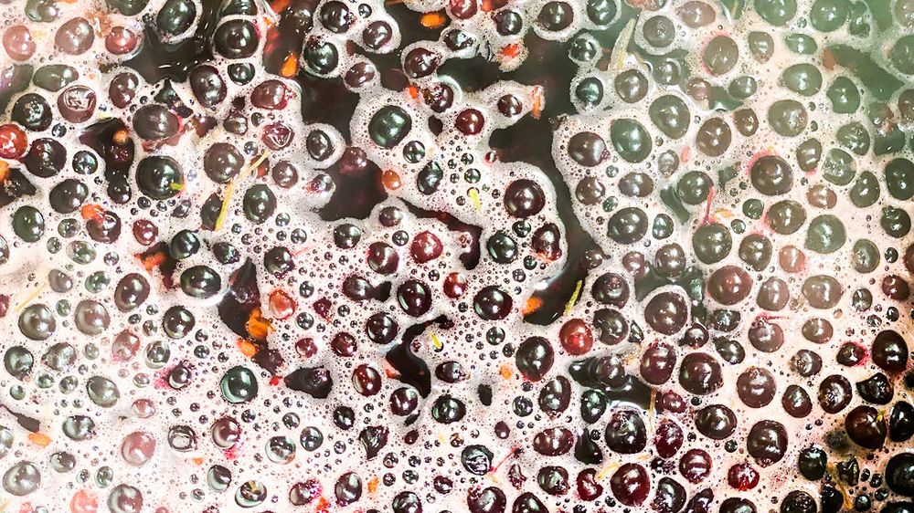 Z kwiatów czarnego bzu można przygotować nalewkę, wino, herbatę i rozmaite oleje, zaś z owoców syrop, napar i sok