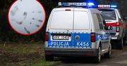 Zagadka rozwiązana. Sprawcę zdradził odcisk dłoni