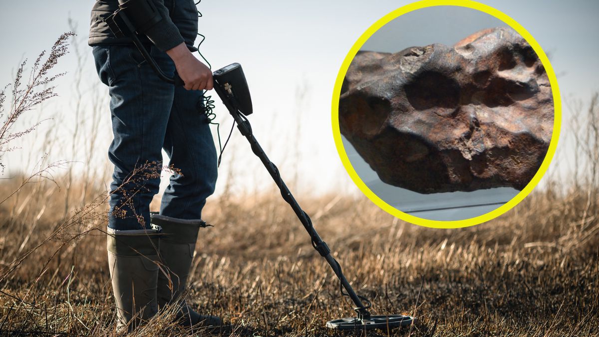 Niezwykłe znalezisko z wykorzystaniem wykrywacza metali