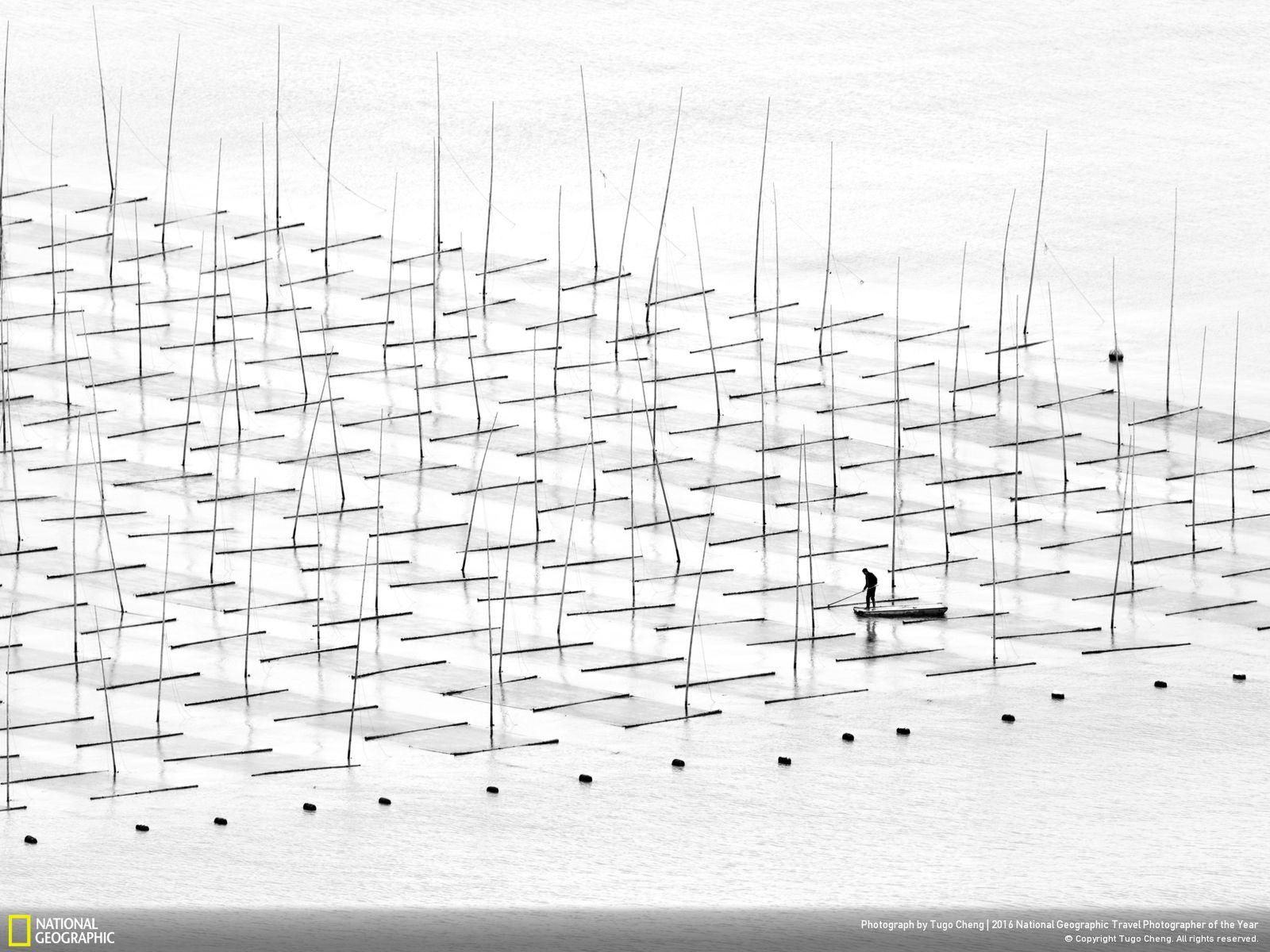 Najciekawsze prace konkursu National Geographic Travel Photographer of the Year 2016 11