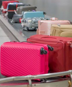 5 tys. zł mandatu na lotnisku. Oto co chcieli wwieźć do Polski