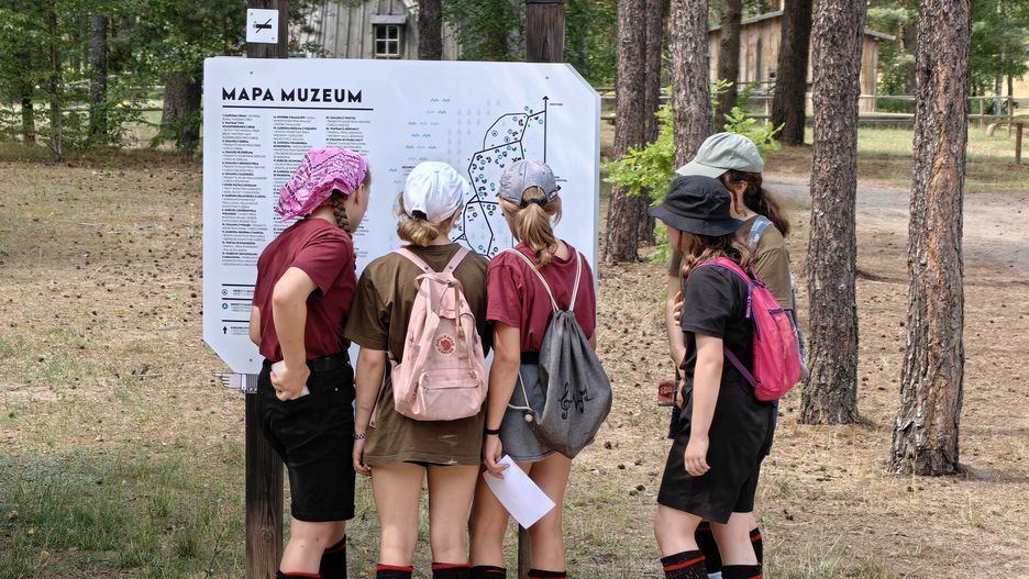 Ile kosztują kolonie dla dzieci w 2024 r.?